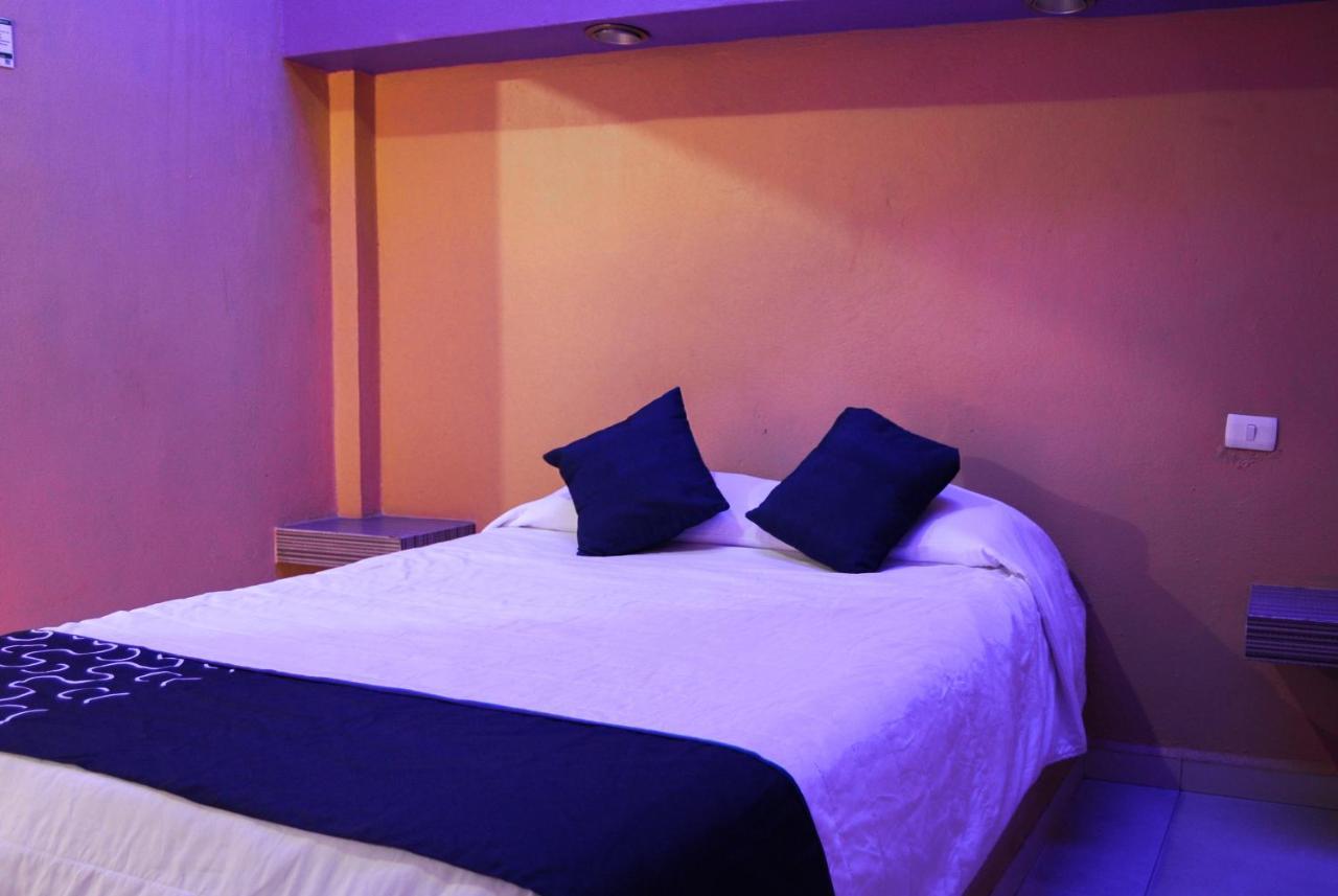 Hotel Oasis Monterrey Eksteriør bilde